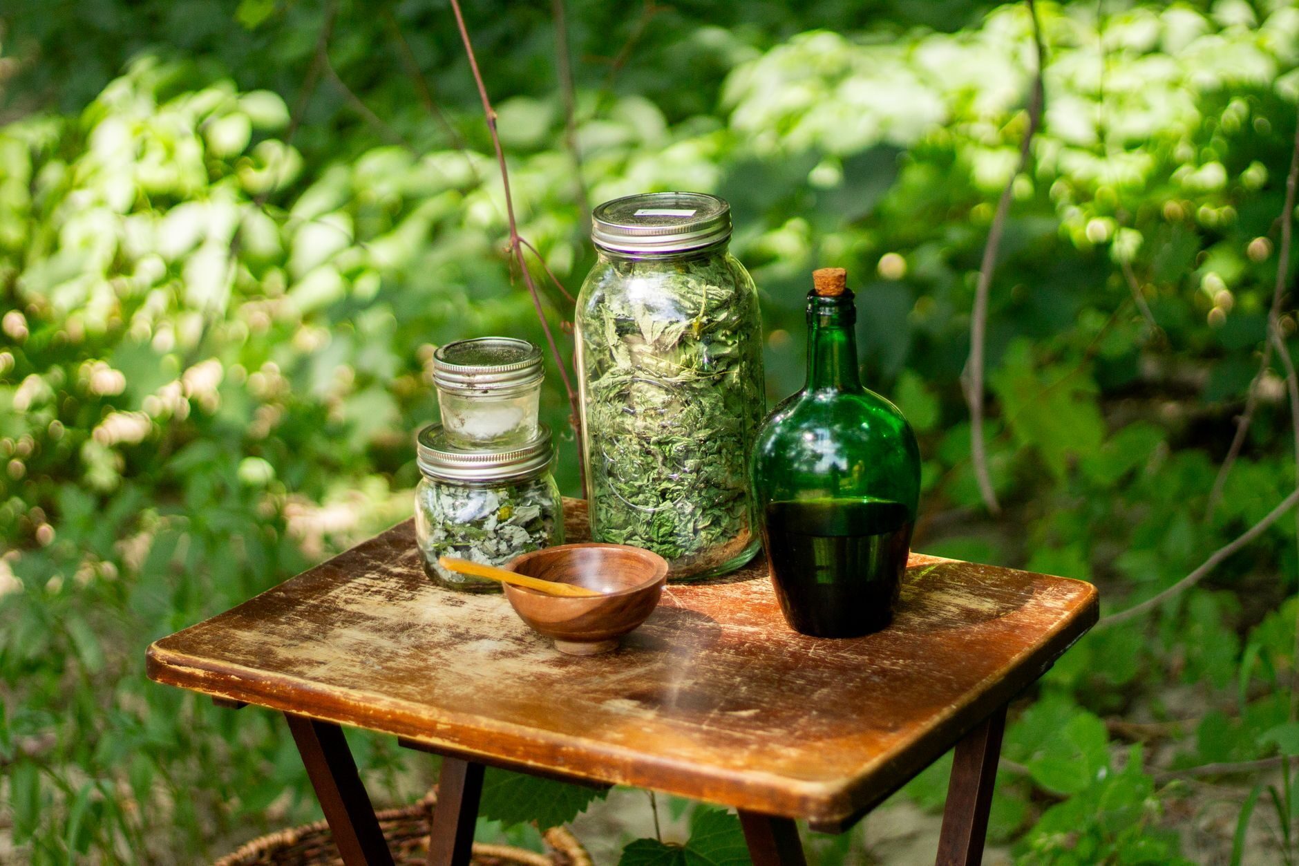 Apothecary jars and a dark green bottle on a weathered stool among lush foliage